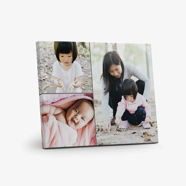 Mini Collage Canvas