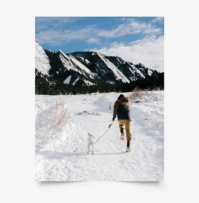 11x14 Poster Print